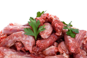 chicken meat isolated