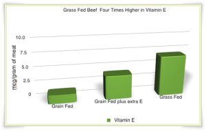 Vitamin E Profile