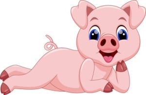 Cute pig cartoon